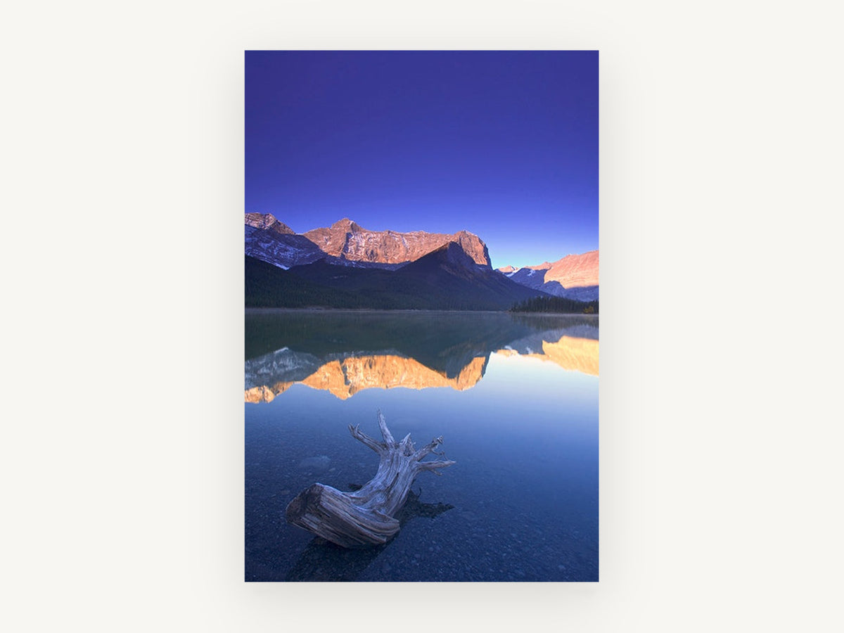 Driftwood at Dawn Lake, mountain lake reflection driftwood photograph, landscape canvas wall art print, front view