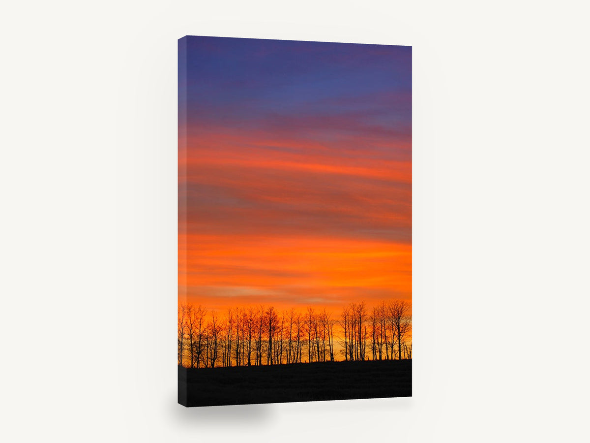 Ember Sky Treeline, orange sunset sky treeline photograph, landscape canvas wall art print ready to hang