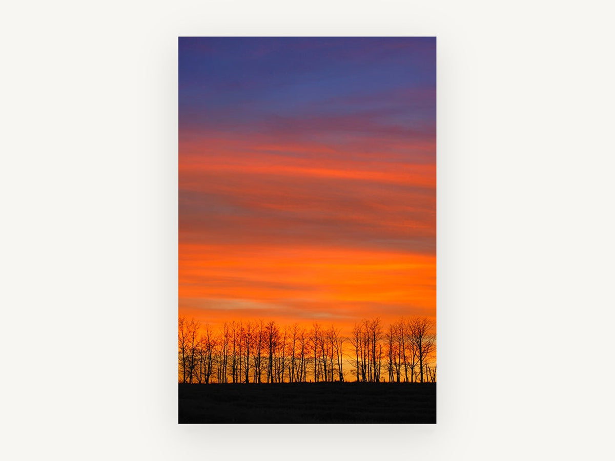 Ember Sky Treeline, orange sunset sky treeline photograph, landscape canvas wall art print, front view