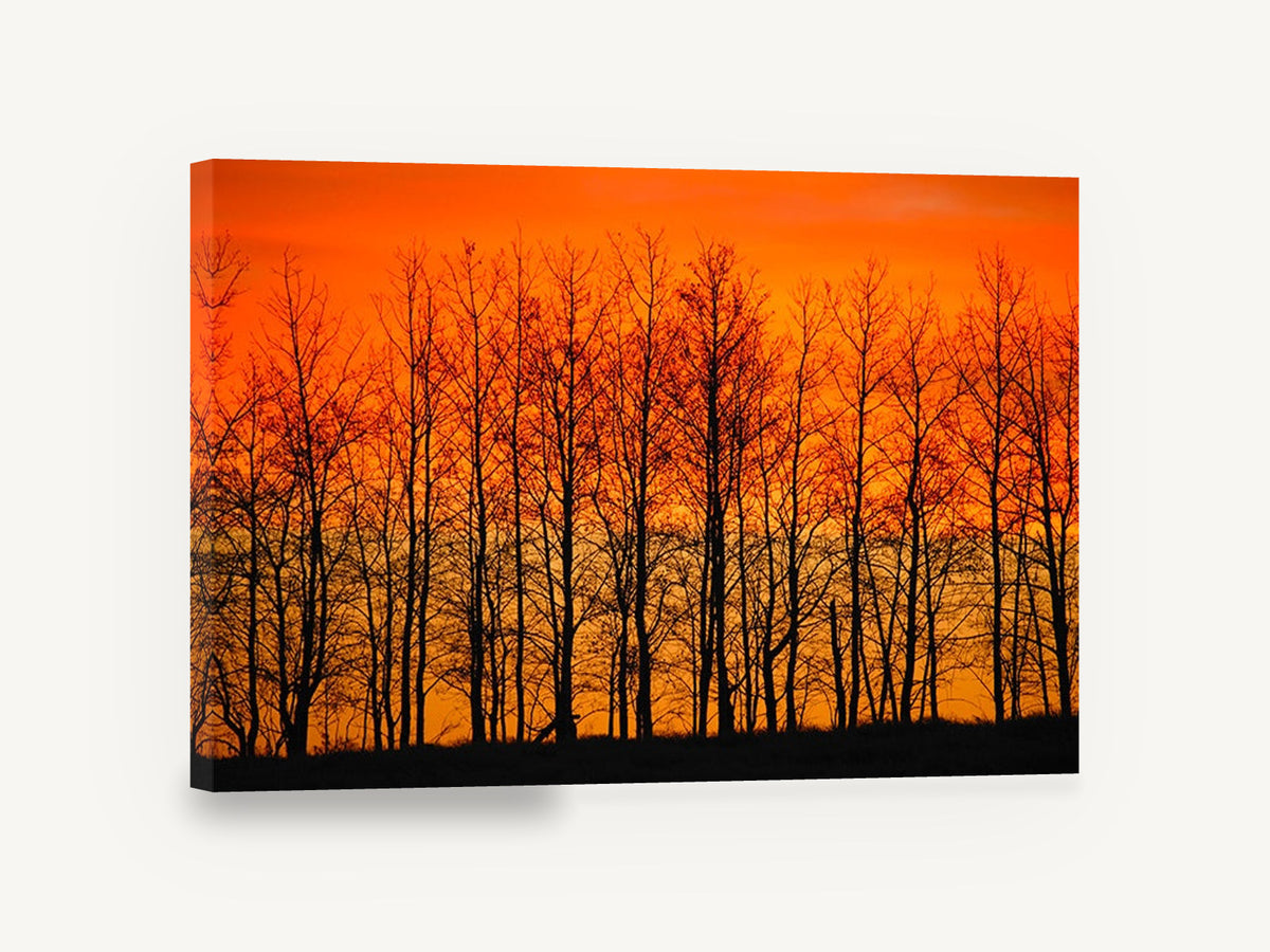 Ember Sky Tree Line, bare trees orange sunset photograph, landscape canvas wall art print ready to hang