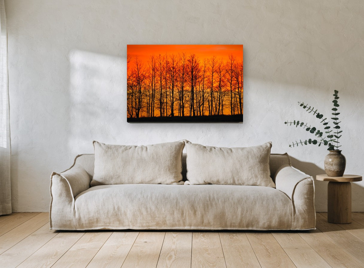 Ember Sky Tree Line landscape canvas print on the wall of a living room