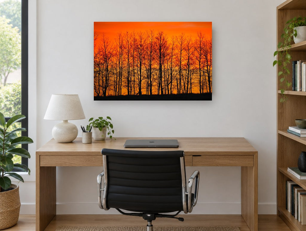 Ember Sky Tree Line landscape canvas print on the wall of a study