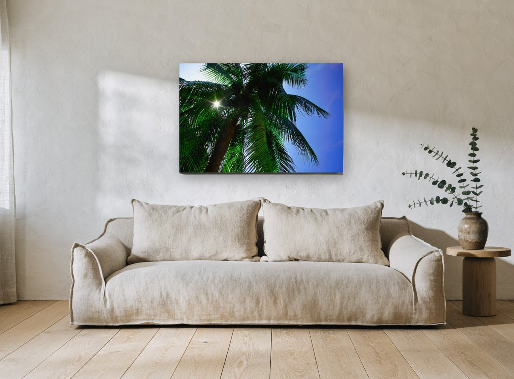 Sunburst Palm Canopy landscape canvas print on the wall of a living room