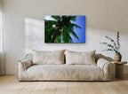 Sunburst Palm Canopy landscape canvas print on the wall of a living room
