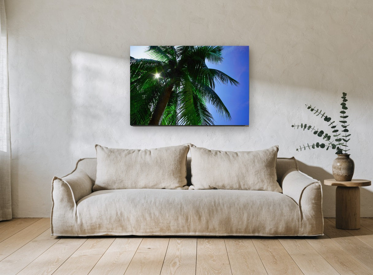 Sunburst Palm Canopy landscape canvas print on the wall of a living room