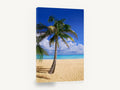 Leaning Palm Shoreline, tropical palm tree beach photograph, coastal canvas wall art print ready to hang