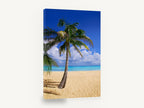 Leaning Palm Shoreline, tropical palm tree beach photograph, coastal canvas wall art print ready to hang