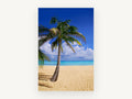 Leaning Palm Shoreline, coastal canvas wall art print, front view