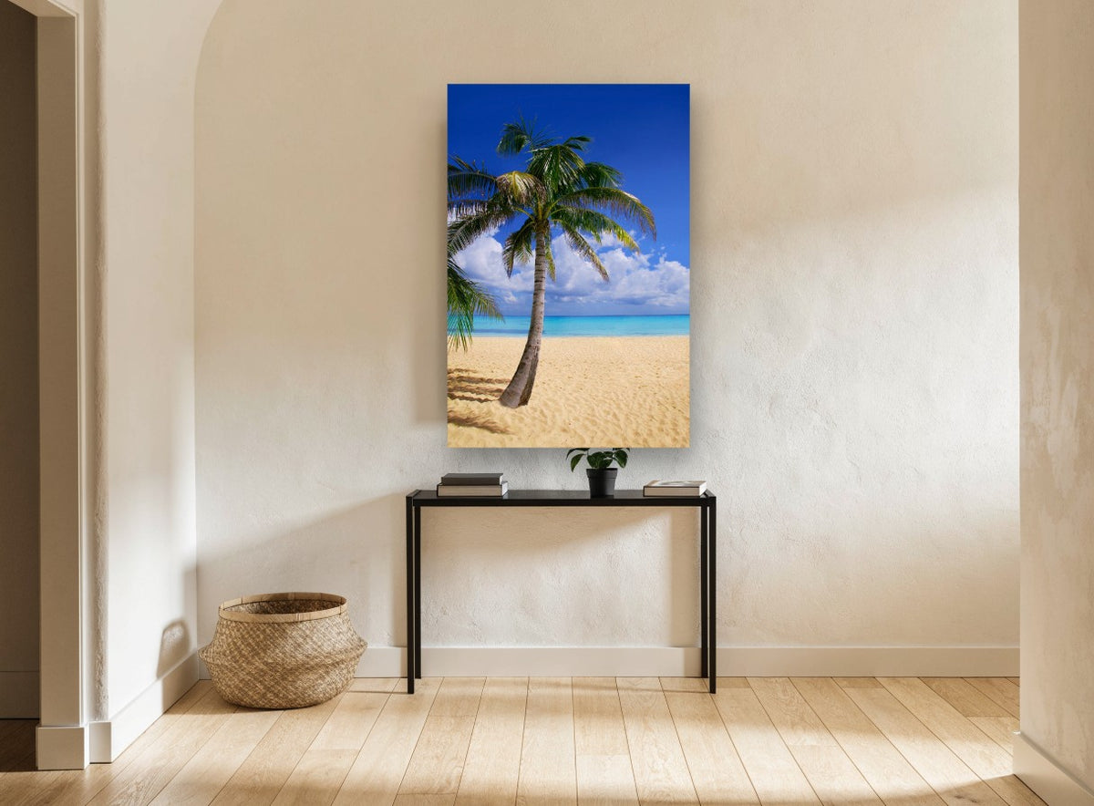 Leaning Palm Shoreline coastal canvas print on the wall of a hallway