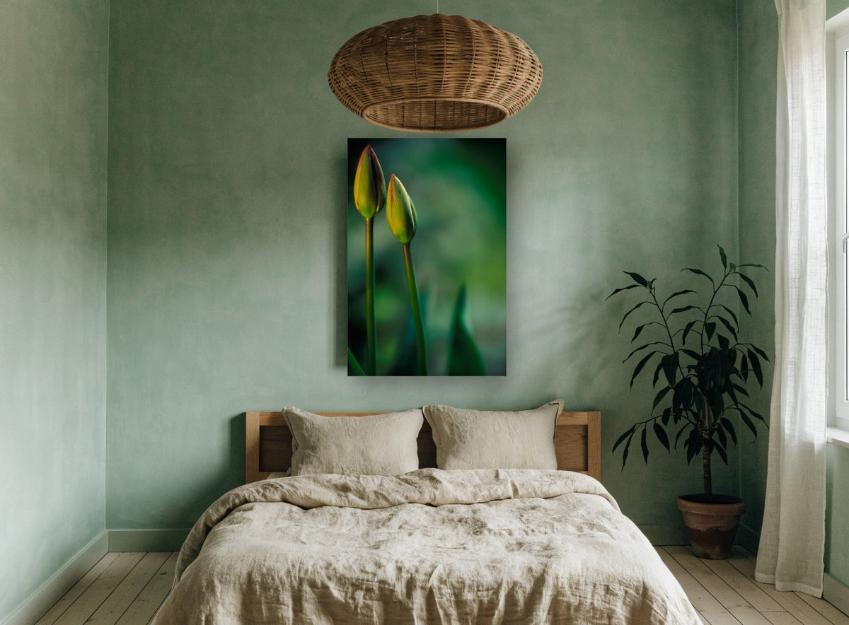 Twin Tulip Buds floral canvas print on the wall of a bedroom