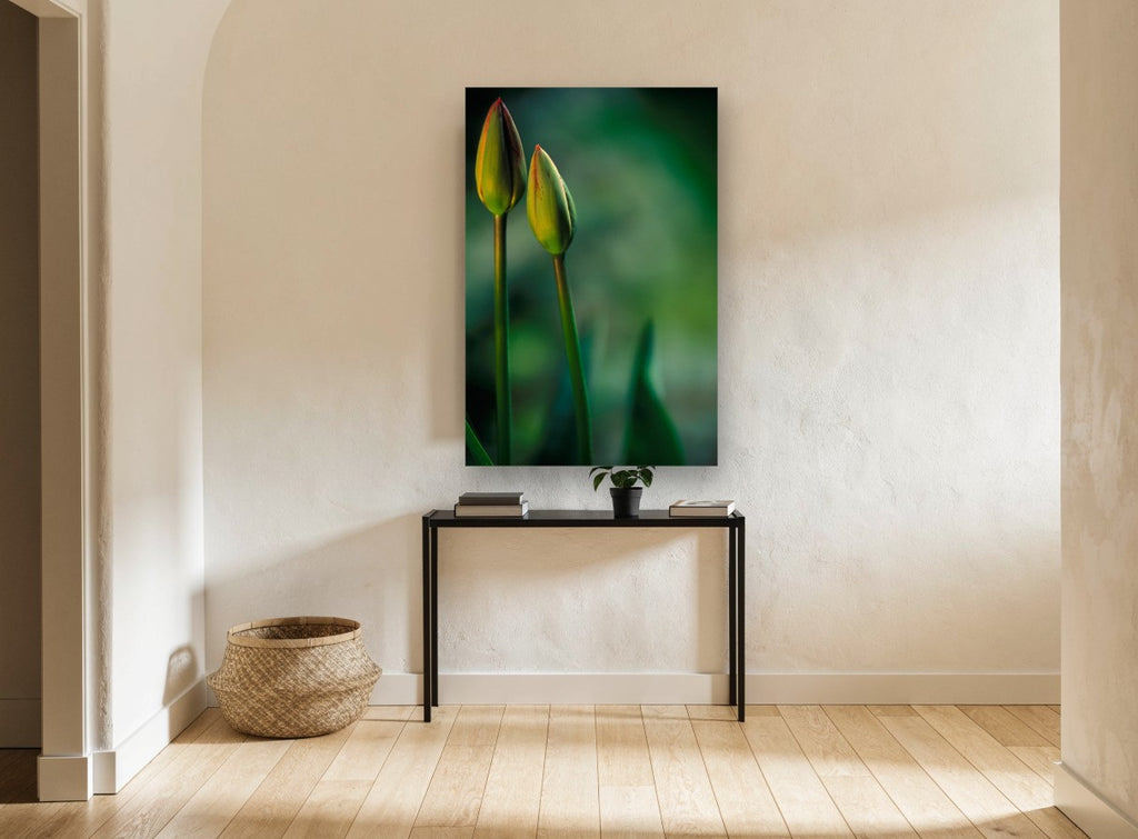 Twin Tulip Buds floral canvas print on the wall of a hallway
