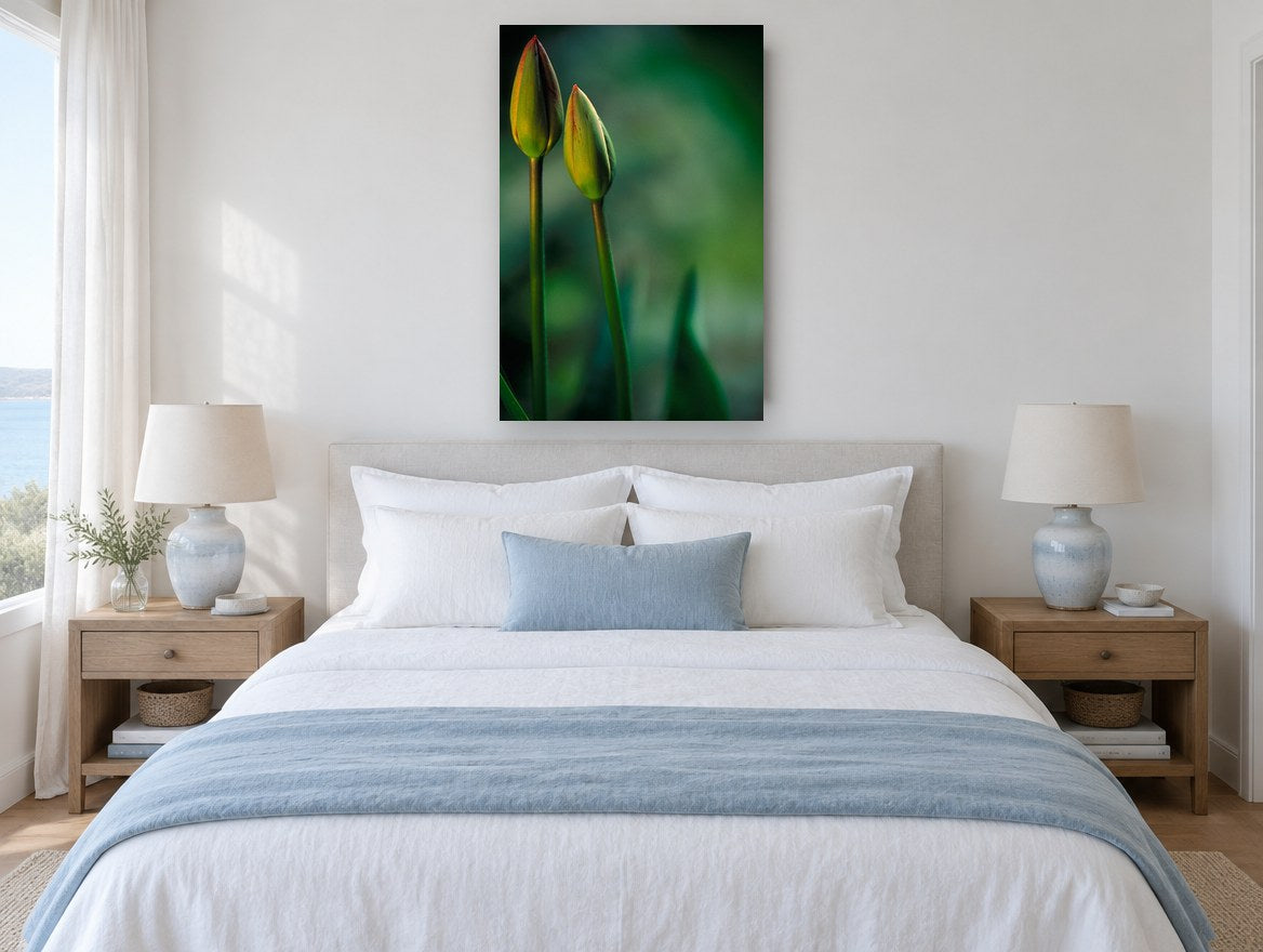 Twin Tulip Buds floral canvas print on the wall of a coastal bedroom
