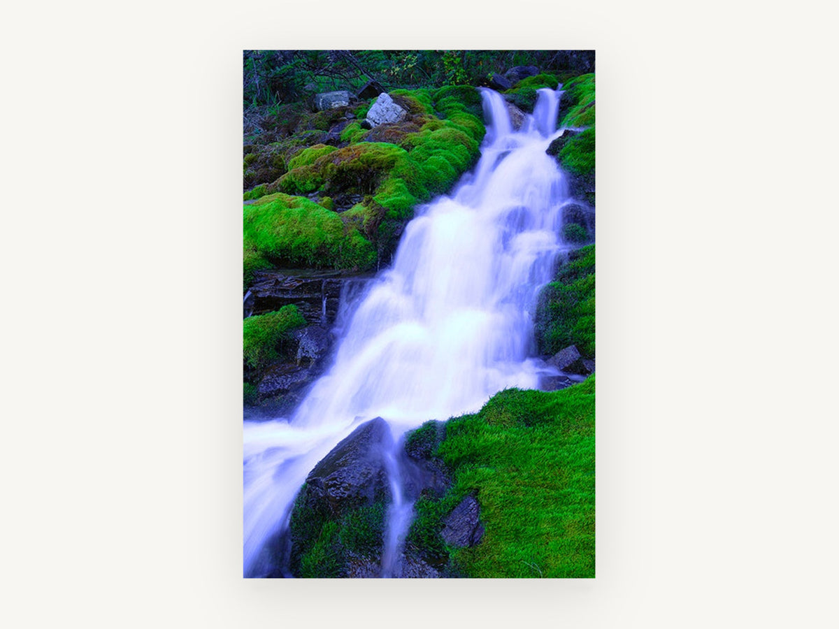 Mossy Cascade Veil, silky waterfall over mossy rocks photograph, landscape canvas wall art print, front view