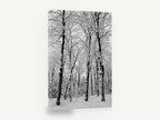 Snowbound Beech Grove, snowy winter forest black and white photograph, landscape canvas wall art print ready to hang
