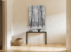 Snowbound Beech Grove landscape canvas print on the wall of a hallway