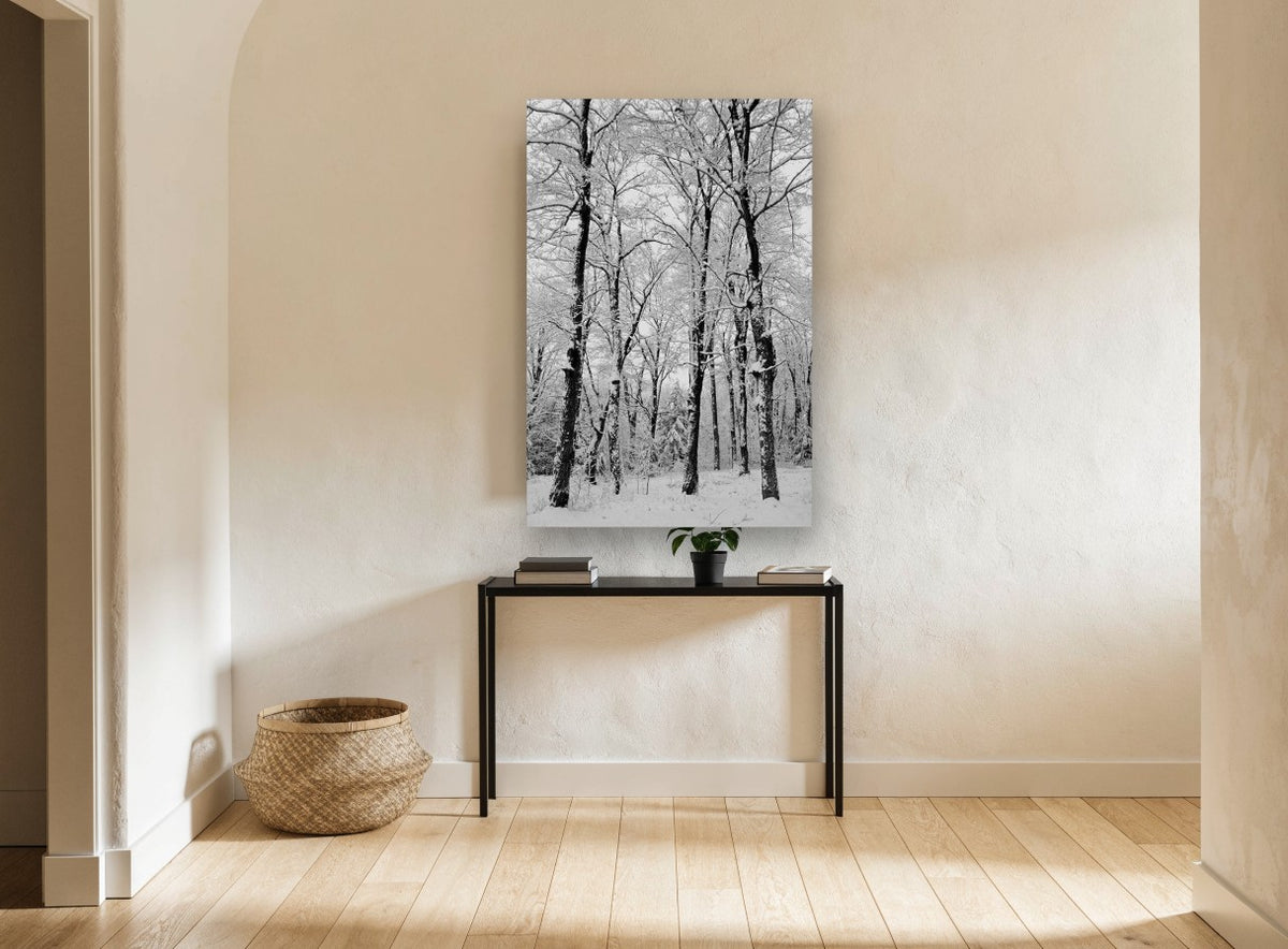 Snowbound Beech Grove landscape canvas print on the wall of a hallway