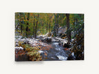 First Snow Creek, autumn forest creek snow photograph, landscape canvas wall art print ready to hang