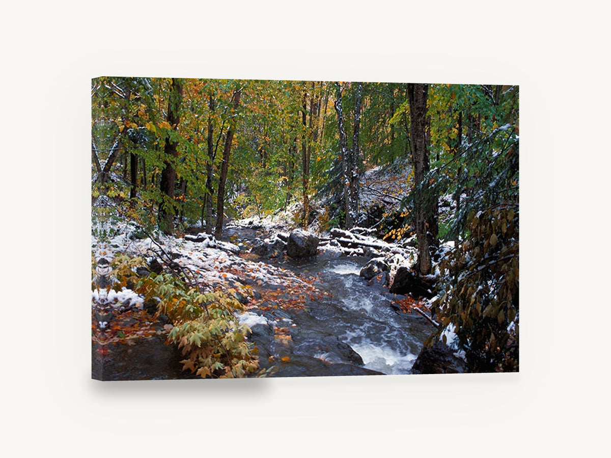 First Snow Creek, autumn forest creek snow photograph, landscape canvas wall art print ready to hang