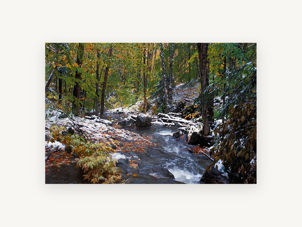 First Snow Creek, autumn forest creek snow photograph, landscape canvas wall art print, front view