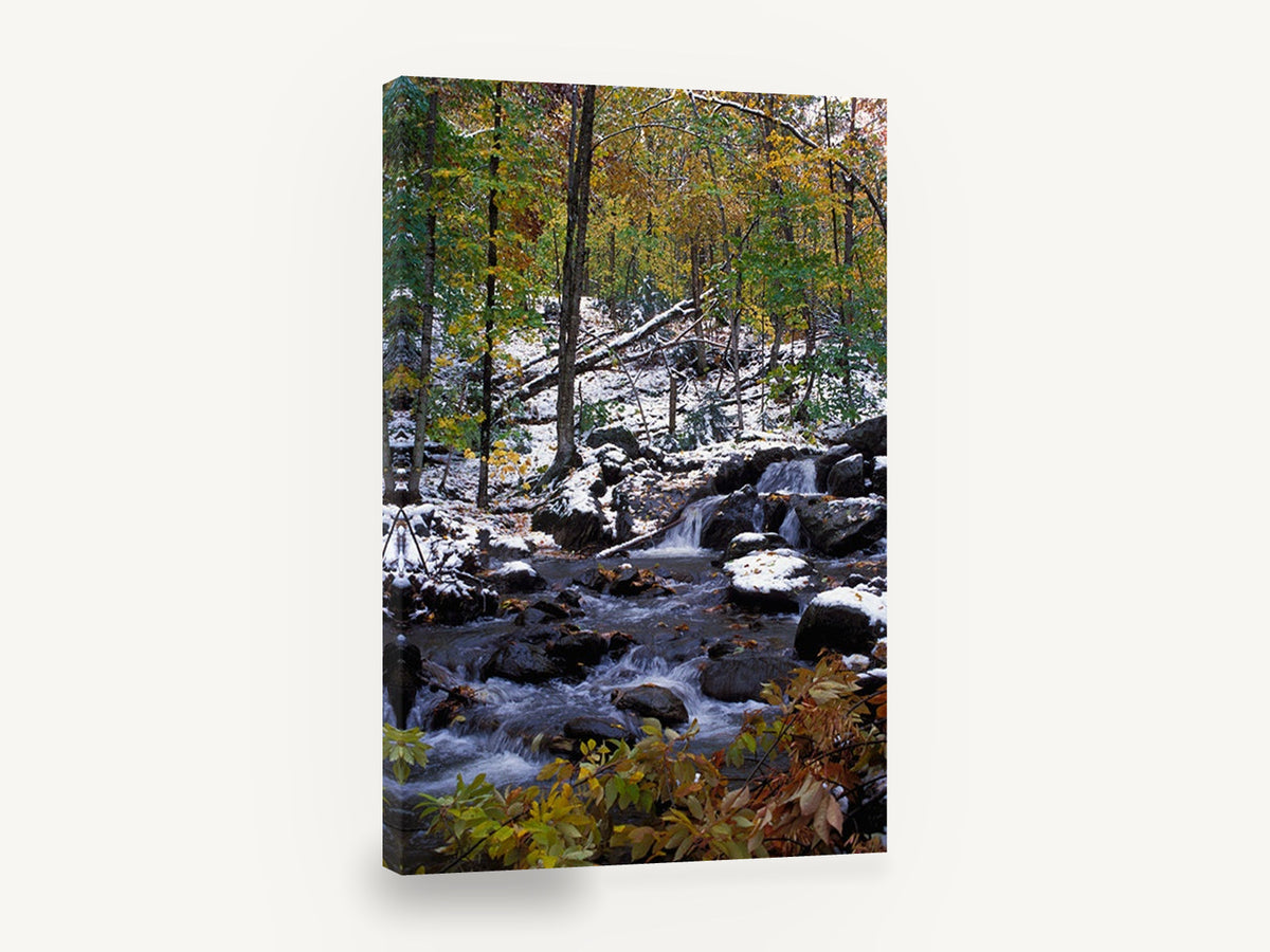 Frosted Cascade Woodland, snowy autumn forest creek photograph, landscape canvas wall art print ready to hang