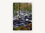 Frosted Cascade Woodland, snowy autumn forest creek photograph, landscape canvas wall art print, front view