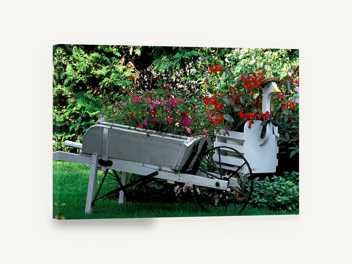 Garden Wheelbarrow Planter, white wheelbarrow flower garden photograph, floral canvas wall art print ready to hang