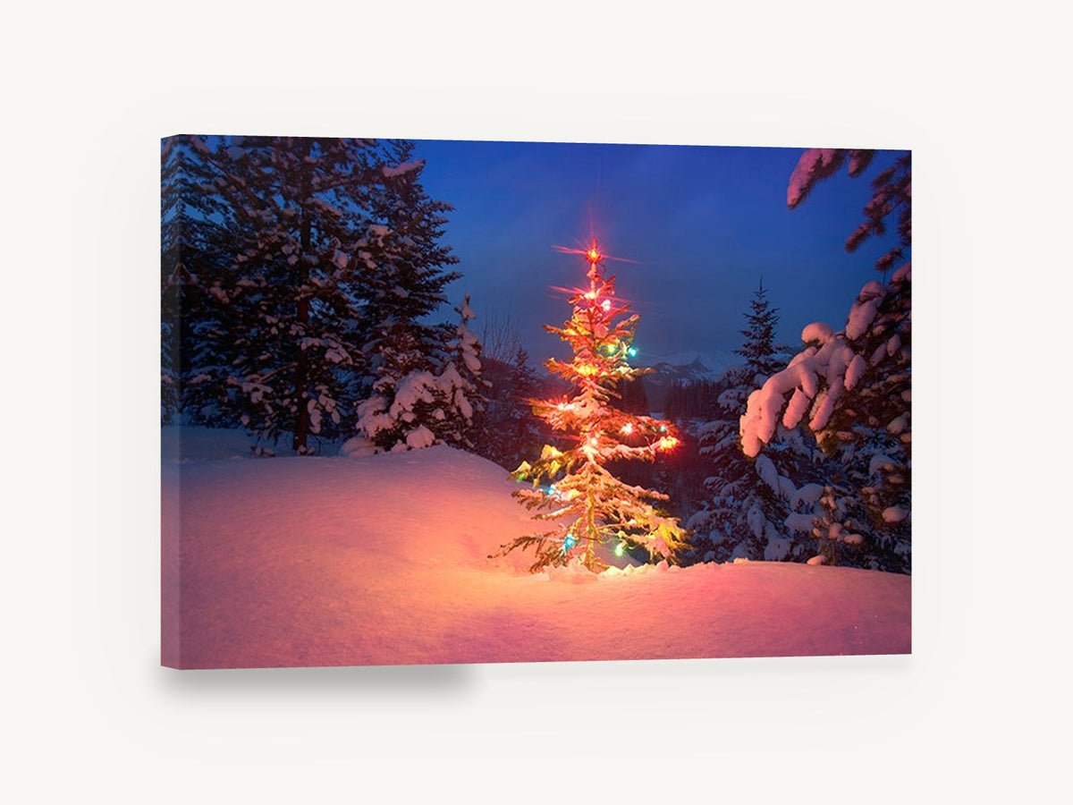 Lit Fir at Dusk, christmas tree snowy forest photograph, landscape canvas wall art print ready to hang