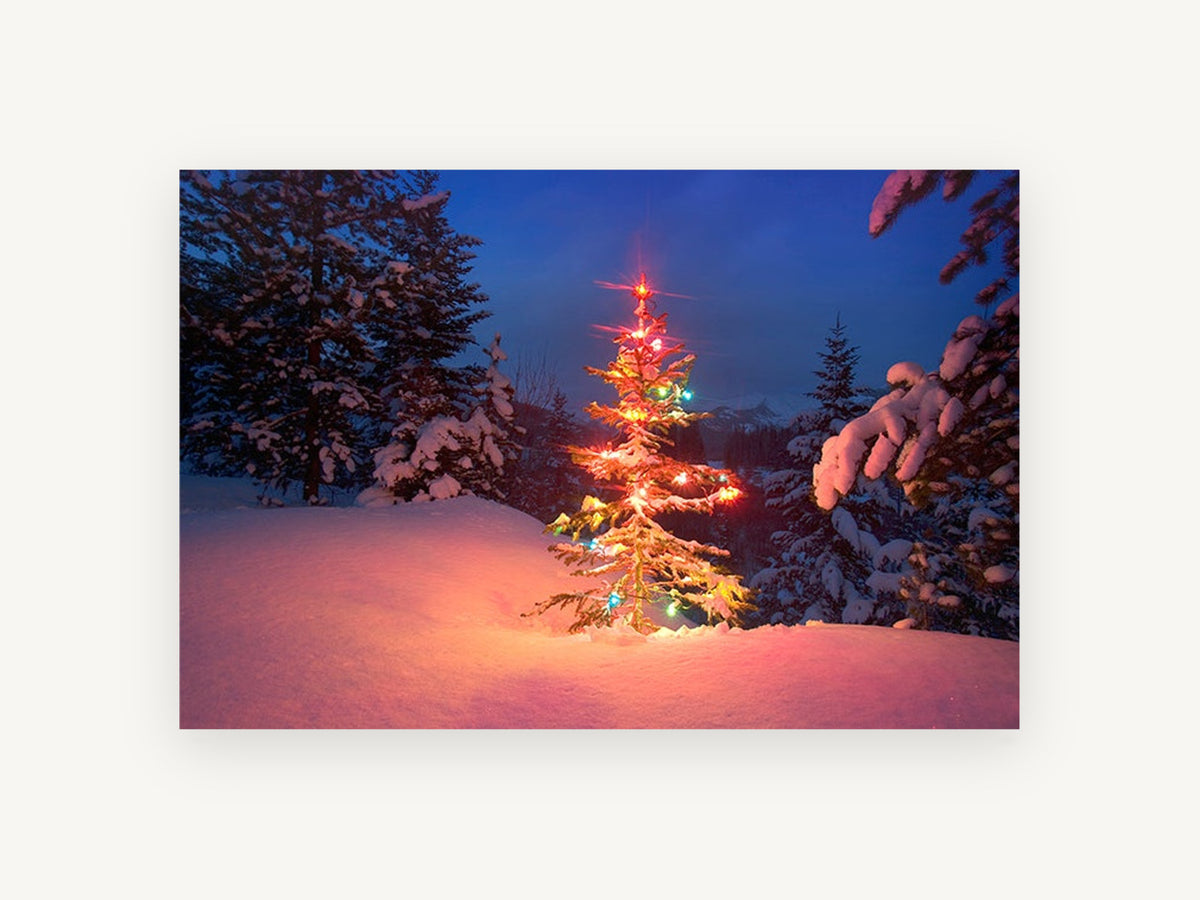 Lit Fir at Dusk, christmas tree snowy forest photograph, landscape canvas wall art print, front view