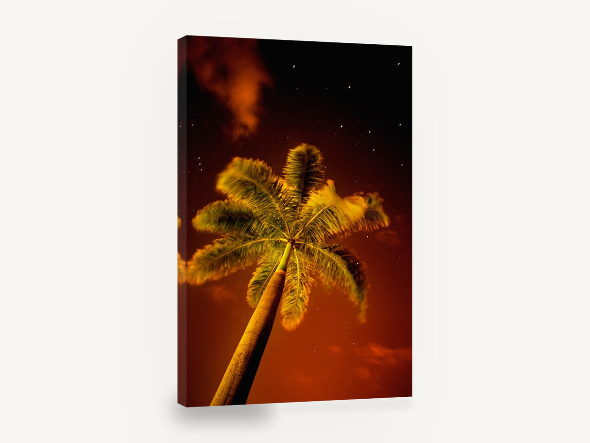 Palm Under Red Sky, palm tree night sky photograph, landscape canvas wall art print ready to hang