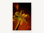 Palm Under Red Sky, palm tree night sky photograph, landscape canvas wall art print, front view