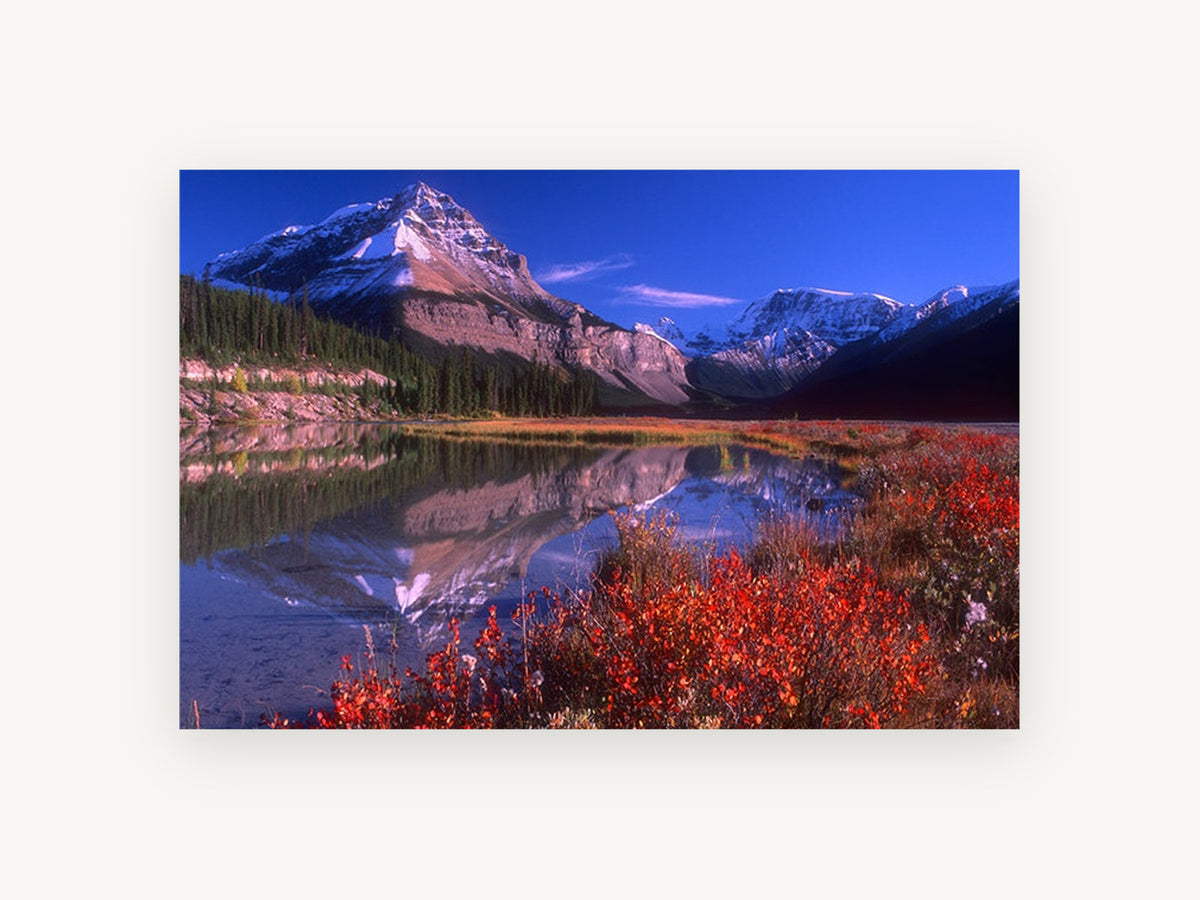 Crimson Shrubs Alpine Lake, alpine lake autumn mountain photograph, landscape canvas wall art print, front view