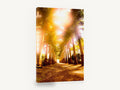 Sunlit Palm Avenue, sunlit palm tree avenue photograph, landscape canvas wall art print ready to hang