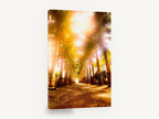 Sunlit Palm Avenue, sunlit palm tree avenue photograph, landscape canvas wall art print ready to hang