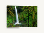 Mossy Forest Falls, waterfall through mossy green forest photograph, landscape canvas wall art print ready to hang