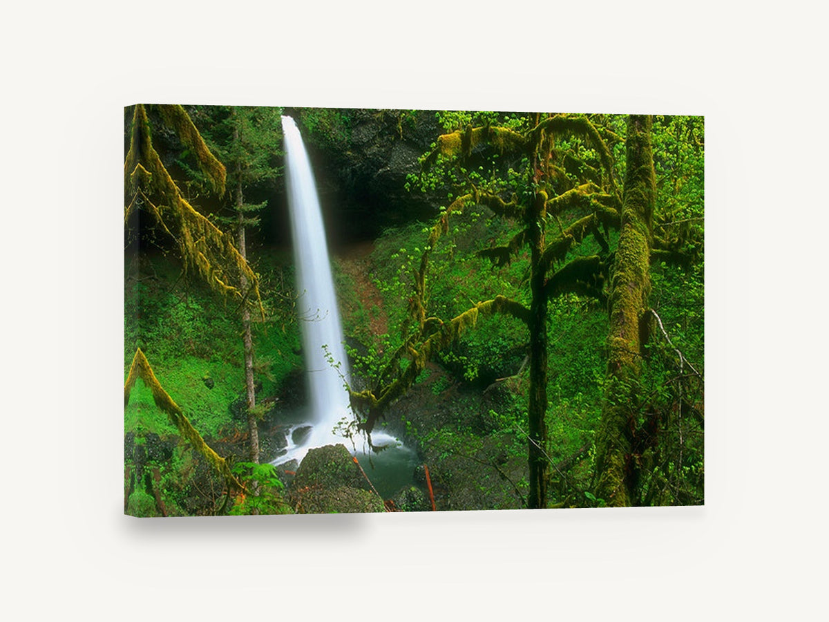Mossy Forest Falls, waterfall through mossy green forest photograph, landscape canvas wall art print ready to hang