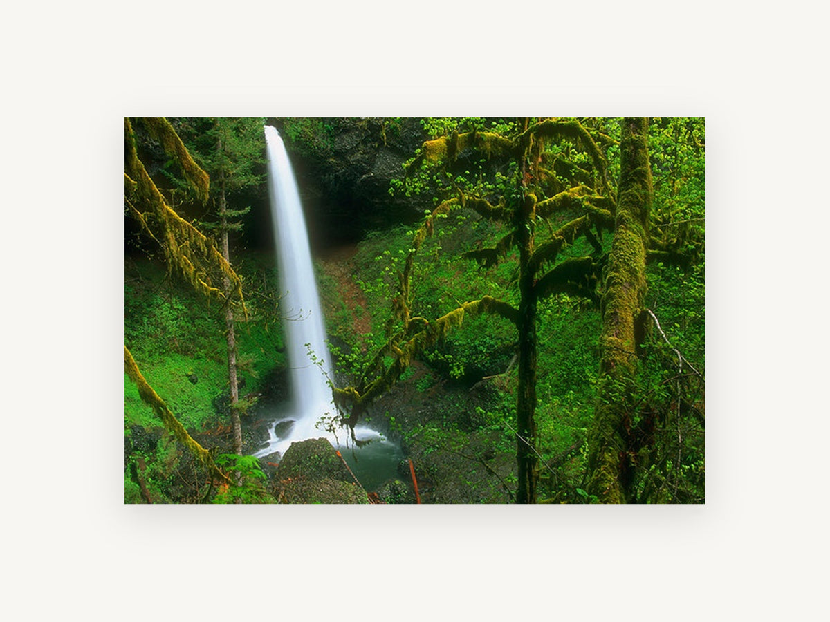 Mossy Forest Falls, waterfall through mossy green forest photograph, landscape canvas wall art print, front view