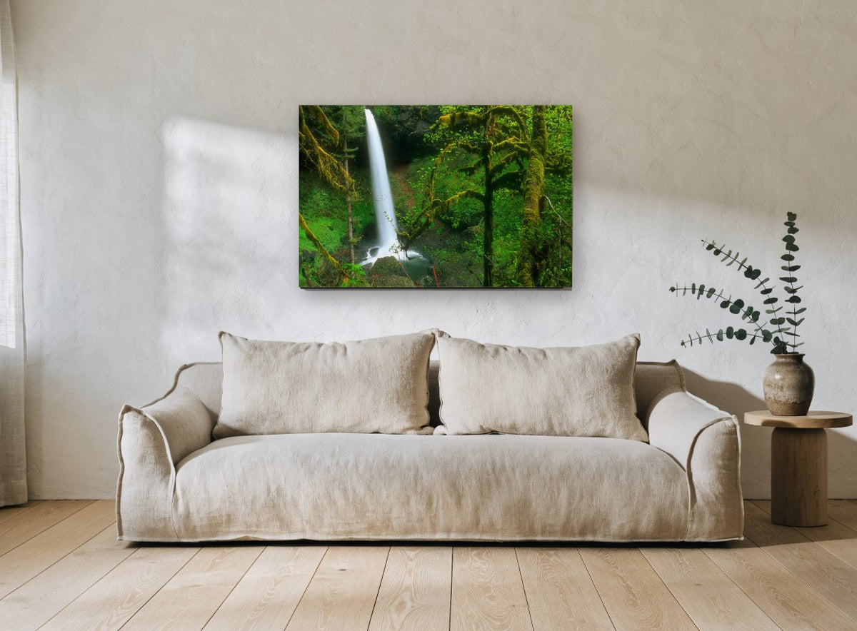 Mossy Forest Falls landscape canvas print on the wall of a living room