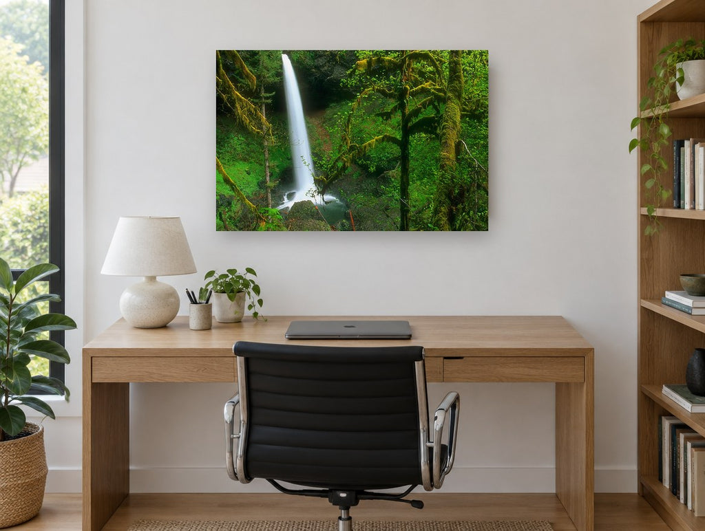 Mossy Forest Falls landscape canvas print on the wall of a study