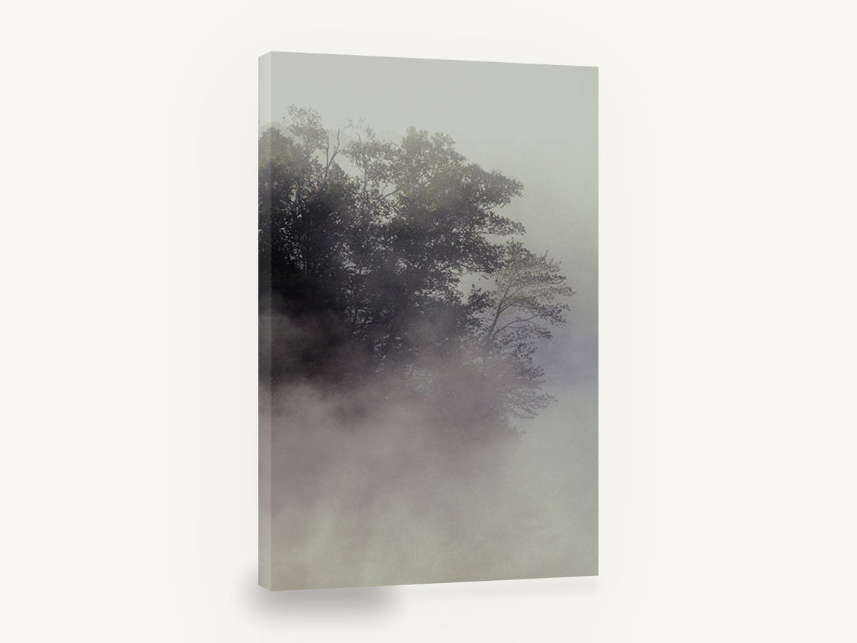 Fogbound Shoreline Trees, misty lakeside trees photograph, landscape canvas wall art print ready to hang