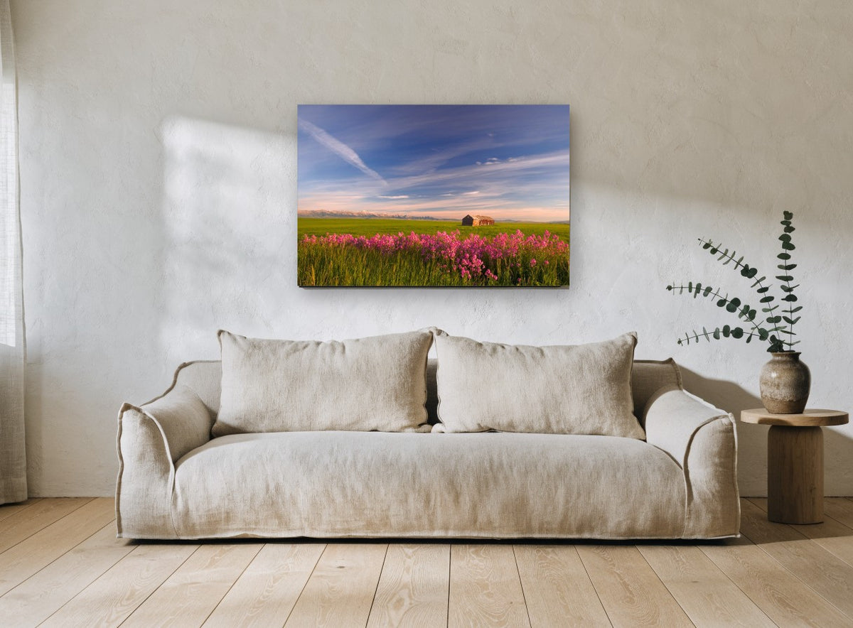 Pink Phlox Prairie landscape canvas print on the wall of a living room