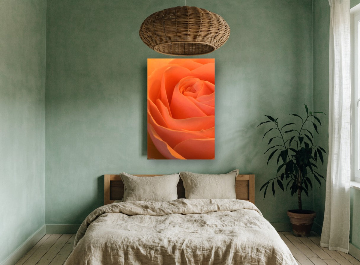 Apricot Rose Spiral floral canvas print on the wall of a bedroom