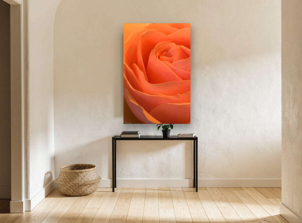 Apricot Rose Spiral floral canvas print on the wall of a hallway