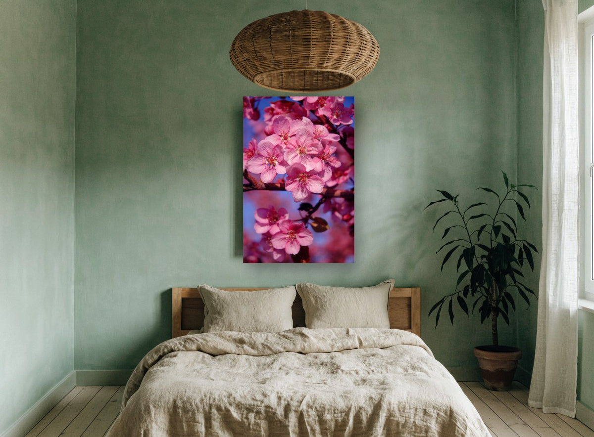 Crabapple Blossom Glow floral canvas print on the wall of a bedroom