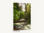 Silken River Forest, forest stream long exposure photograph, landscape canvas wall art print ready to hang