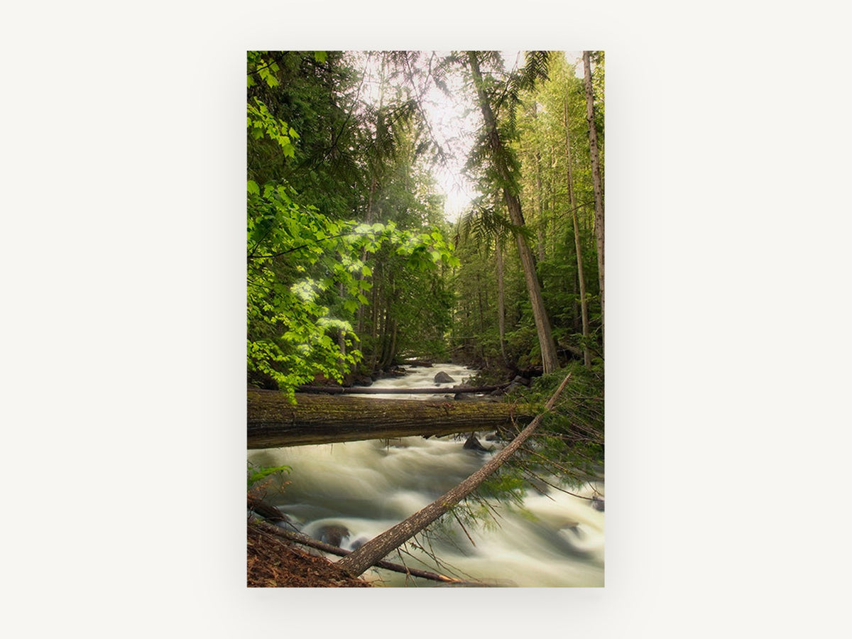 Silken River Forest, forest stream long exposure photograph, landscape canvas wall art print, front view