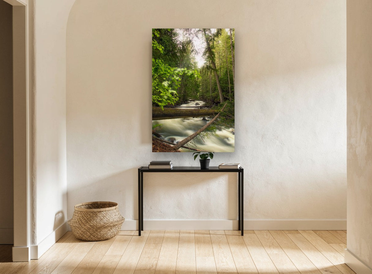 Silken River Forest landscape canvas print on the wall of a hallway