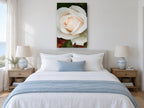 Dew on Cream Rose floral canvas print on the wall of a coastal bedroom