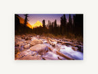 Alpenglow Over the Creek, mountain creek forest sunset photograph, landscape canvas wall art print, front view