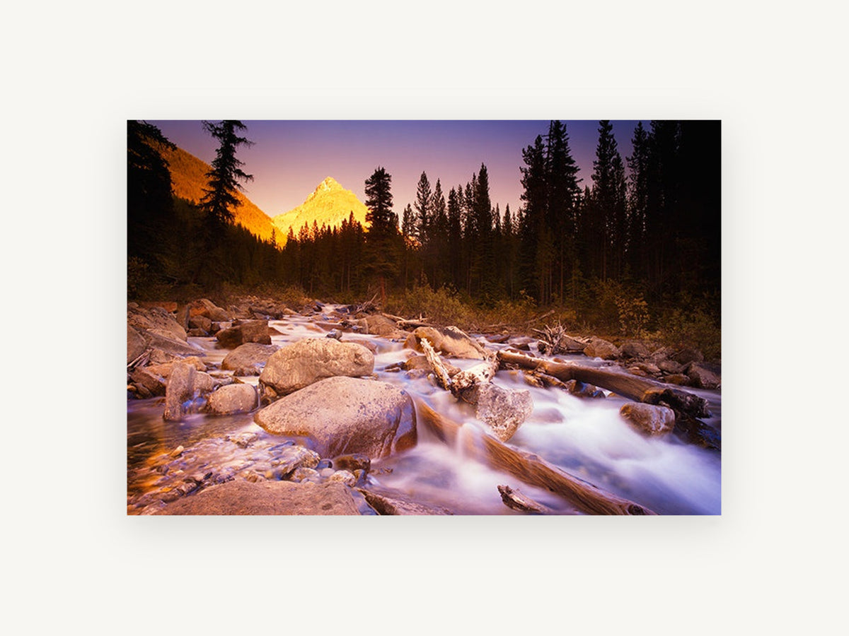 Alpenglow Over the Creek, mountain creek forest sunset photograph, landscape canvas wall art print, front view