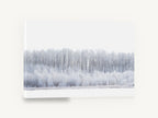 Hoarfrost Tree Line, frosted winter tree line photograph, landscape canvas wall art print ready to hang